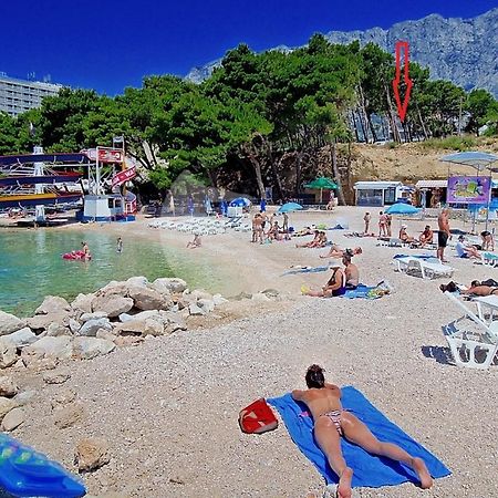 Apartmani Neva Makarska Exteriör bild